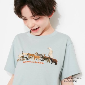 Kids' Uniqlo National Museum Of Nature And Science Tokyo Ut Graphic T Shirts Light Green | LACG-20719