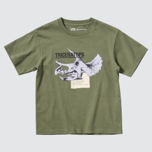 Kids' Uniqlo The Smithsonian Ut Graphic T Shirts Olive | SKPJ-70938