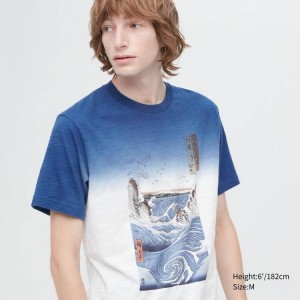 Men's Uniqlo Ukiyo-e Archive Ut Graphic T Shirts Blue | XMZQ-13785