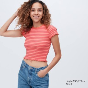 Women's Uniqlo Ribbed Striped Frill Short Sleeved T Shirts Orange | KOME-32481