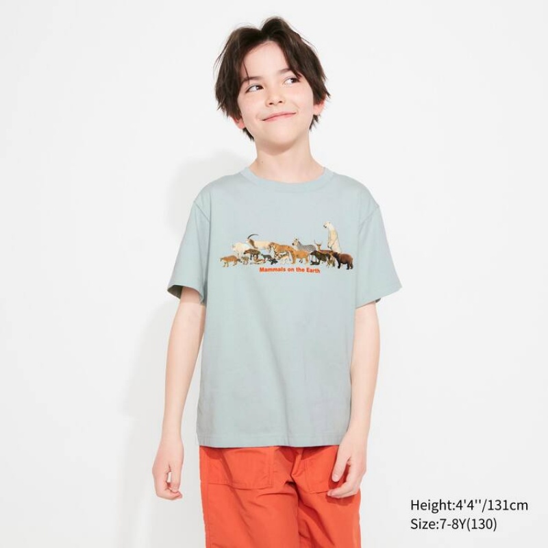 Kids' Uniqlo National Museum Of Nature And Science Tokyo Ut Graphic T Shirts Light Green | LACG-20719