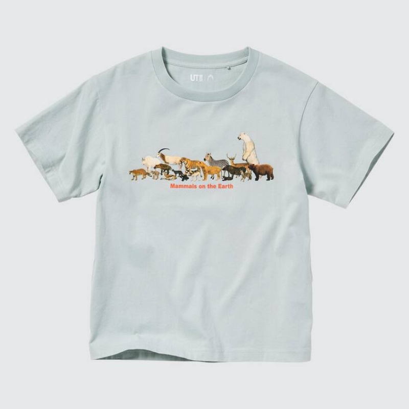 Kids' Uniqlo National Museum Of Nature And Science Tokyo Ut Graphic T Shirts Light Green | LACG-20719