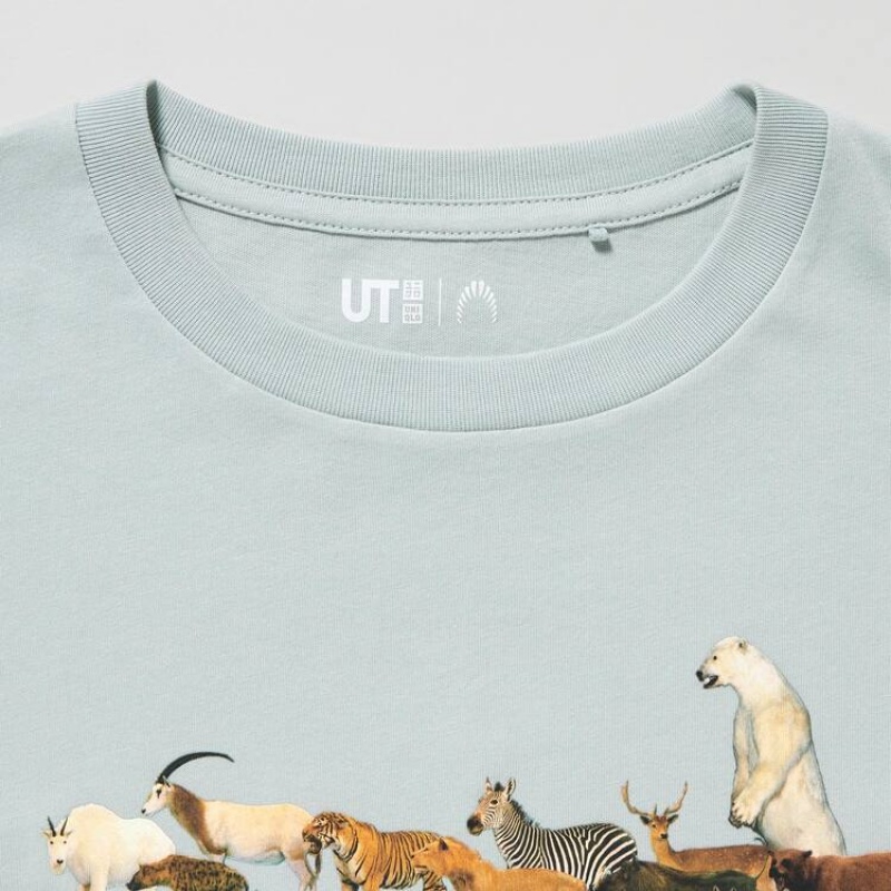 Kids' Uniqlo National Museum Of Nature And Science Tokyo Ut Graphic T Shirts Light Green | LACG-20719