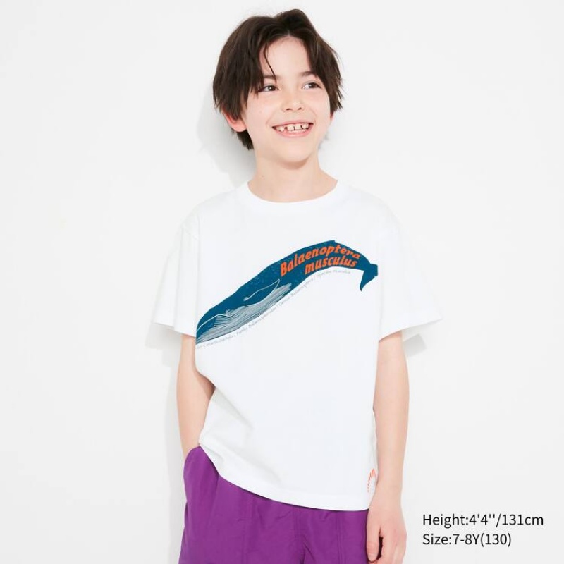 Kids' Uniqlo National Museum Tokyo Ut Graphic T Shirts White | DCGK-85714