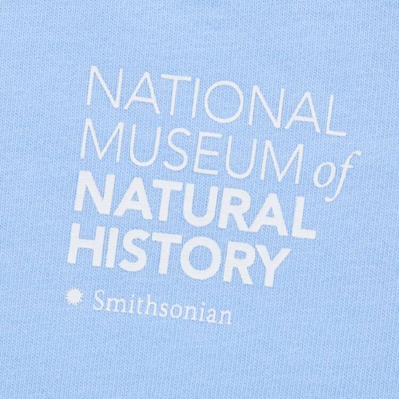 Kids' Uniqlo The Smithsonian Ut Graphic T Shirts Blue | WUPH-43927