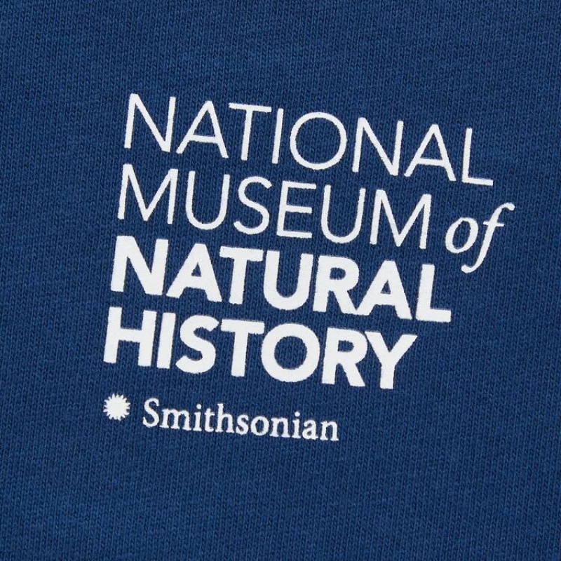 Kids' Uniqlo The Smithsonian Ut Graphic T Shirts Blue | UMBF-84206